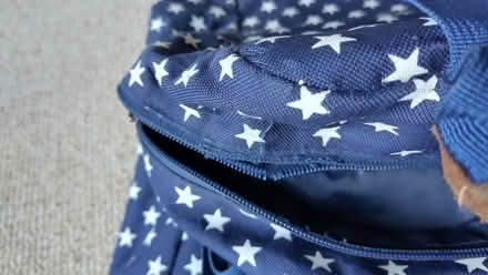 Photo of free Rucksacks - broken zips - for repair or upcycling (Kings Heath B14) #4