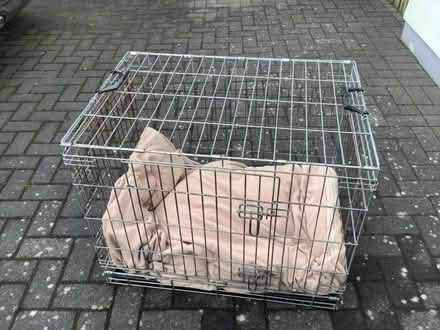 Photo of free Large dog crate (Germoe TR20) #1