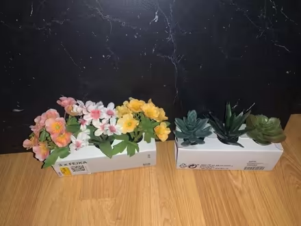 Photo of free Fake plants (Wormbridge HR2) #1