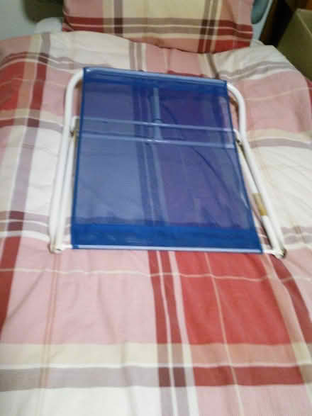 Photo of free Back rest (Elderly/disabled) (Slinfold RH13) #3