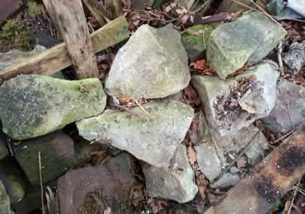 Photo of free Rockery stones (ST14) #4
