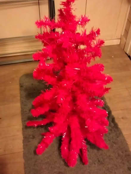 Photo of free Xmas tree (Stretford M32) #1