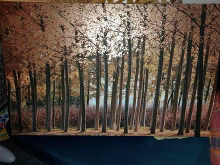 Photo of free Canvas. (Otford TN14) #1