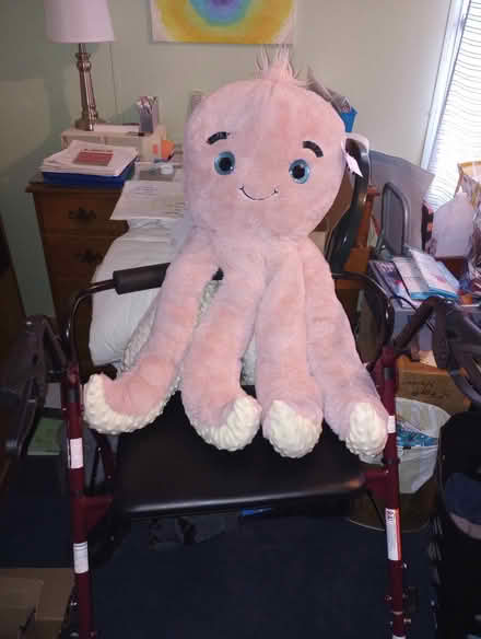 Photo of free Octopus large stuffy (West Bloomfield, NY) #1