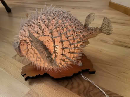 Photo of free Fish Lamp (north Boulder) #1