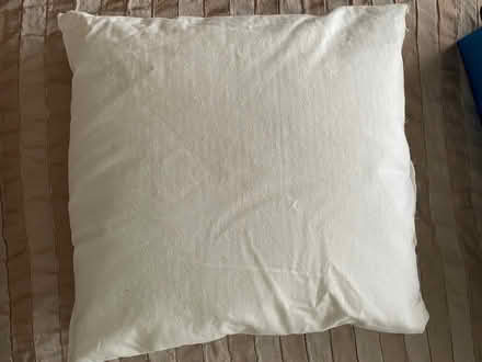 Photo of free 2 feather cushions (WR5) #2
