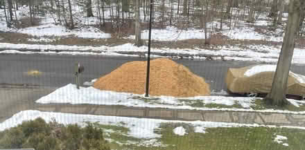 Photo of free Wood Chips (Glenn Dale, MD) #1