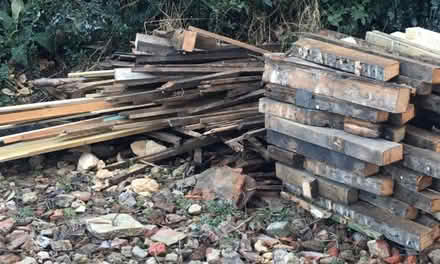 Photo of free Wood off cuts (GU11) #2