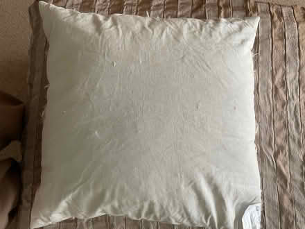 Photo of free 2 feather cushions (WR5) #1