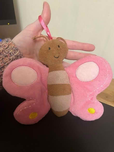 Photo of free Butterfly « teddy » (see photo) (Great Moor SK2) #1
