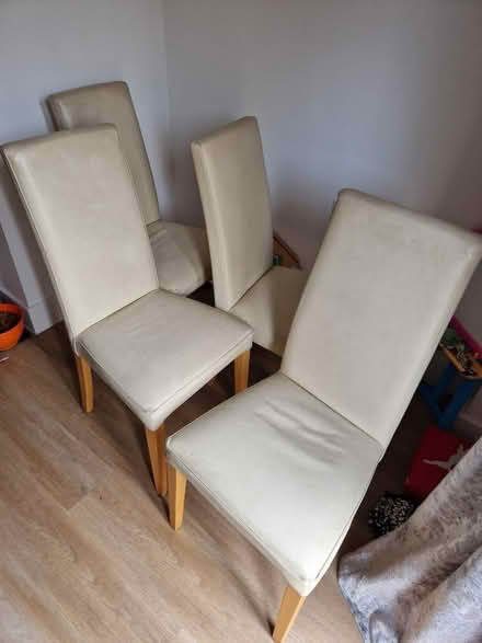 Photo of free 4 dining chairs (CT3) #1
