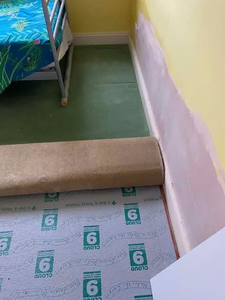 Photo of free Roll of Green carpet and underlay (Street BA16) #2