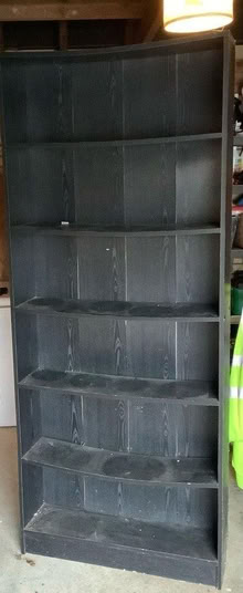 Photo of free Tall Black Ash Bookshelf (Sprowston (Sprowston (NR7)) #1