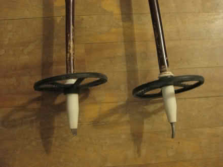 Photo of free Cross country ski poles (Vanier) #1