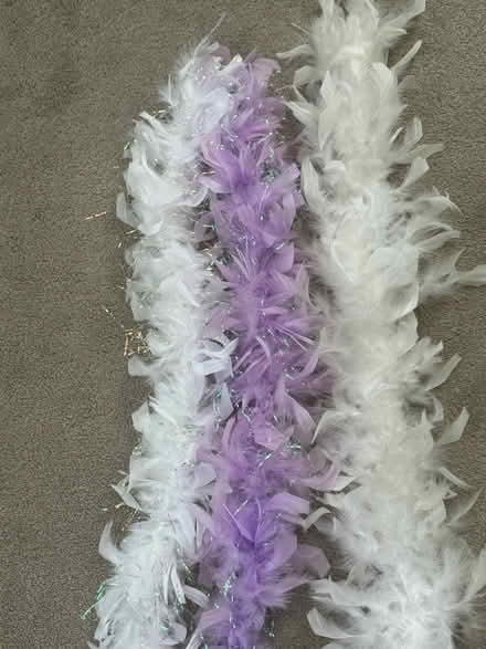 Photo of free Feather boas (Orchard and Prairie, Aurora) #1