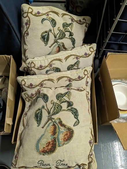 Photo of free Set 4 small cushions (Enfield EN1) #1