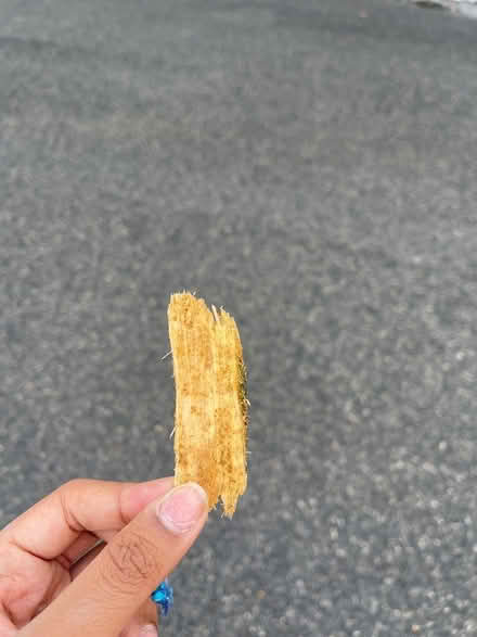 Photo of free Wood Chips (Glenn Dale, MD) #2