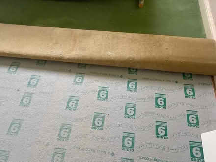 Photo of free Roll of Green carpet and underlay (Street BA16) #1