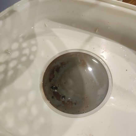 Photo of free Tomme tippee steriliser (NE30 Marden) #2