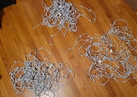 Photo of free Icicle Christmas lights (Windsor Locks) #1