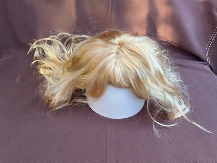 Photo of free Wig (Willenhall, West Midlands) #1