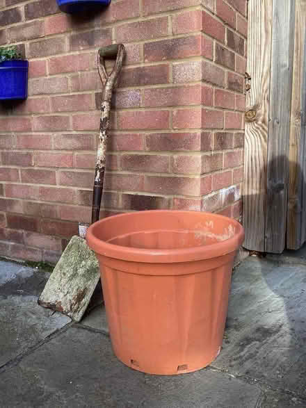 Photo of free Large plastic plant pot. (Braughing SG11) #1