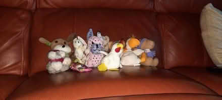 Photo of free About a dozen small soft toys (Smalldale SK17) #1