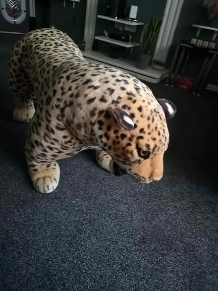 Photo of free Large leopard toy (York YO24) #4