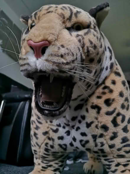 Photo of free Large leopard toy (York YO24) #2