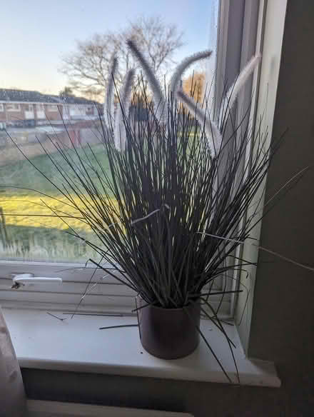 Photo of free Fake plant (pot not included) (Abingdon, OX14) #1
