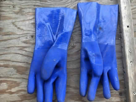 Photo of free Rubber gloves (El Cerrito) #2