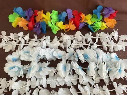 Photo of free Hawaiian flower Leis (Willenhall, West Midlands) #2