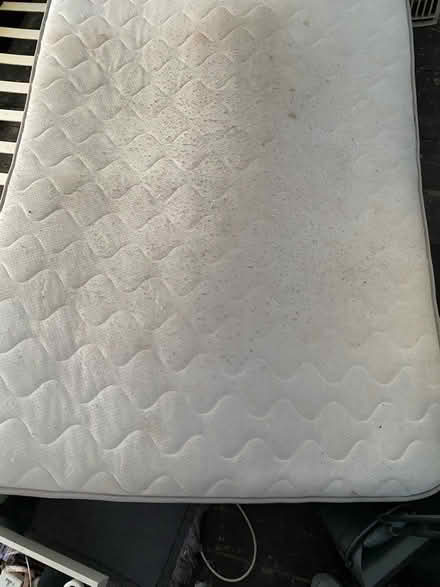 Photo of free Double bed (Ashton OL6) #3