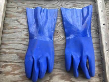 Photo of free Rubber gloves (El Cerrito) #1