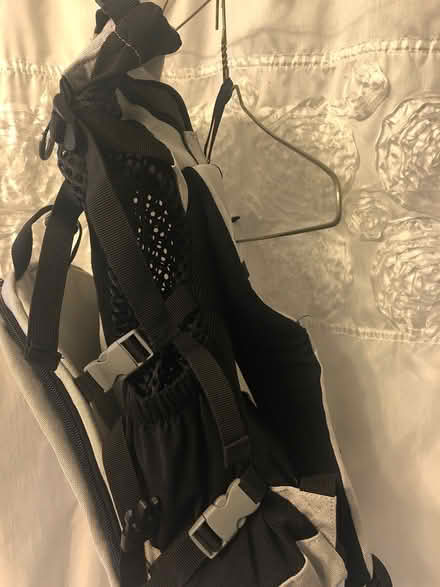 Photo of free Pet Backpack (Aurora (Aurora (N Seattle/ Shoreline)) #2