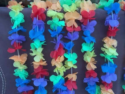 Photo of free Hawaiian flower Leis (Willenhall, West Midlands) #3