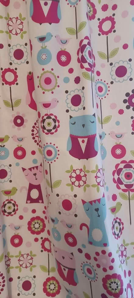 Photo of free Kids blackout curtains (Buggs Bottom RG4) #1