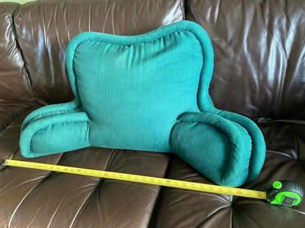 Photo of free Green lounger pillow (Barracks Road area) #1