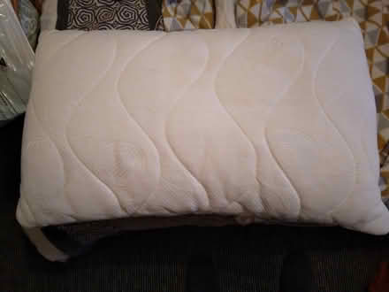 Photo of free 2 x cream colour Foam pillows (Wick estate wickford. SS12) #4