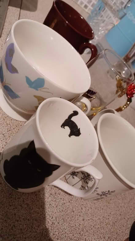 Photo of free Box of kitchen bits, Gillingham Livingstone Circus (Gillingham ME7) #1