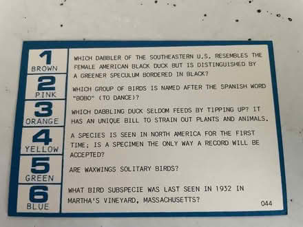 Photo of free Birding trivia game (PH near Strandwood School) #1