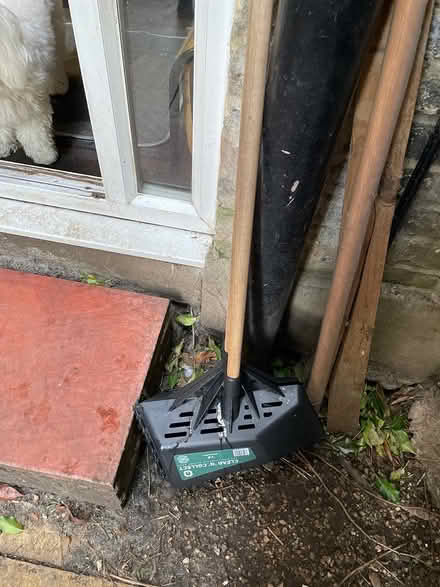 Photo of free Leaf collector (Mitcham CR4) #1