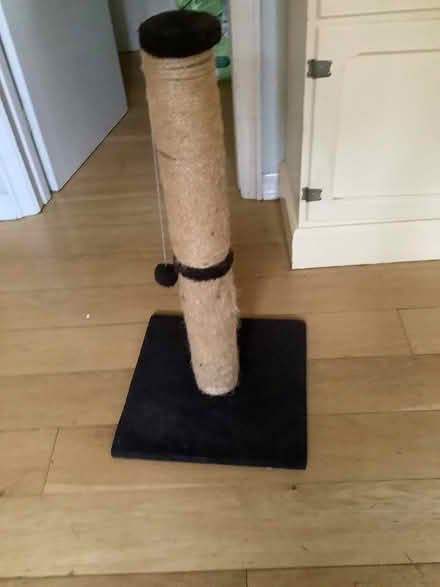 Photo of free Cat scratching post (Shortlands, Bromley, BR2) #1