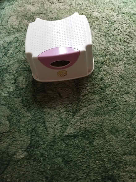 Photo of free Toddler's plastic step (Pedmore DY9) #1