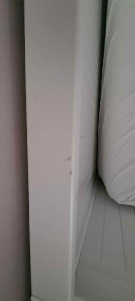 Photo of free Ikea pull out day bed (L4) #3
