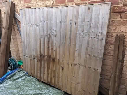 Photo of free Fence Panel (Knighton LE2) #2