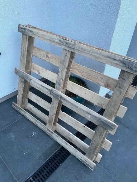 Photo of free Pallet (Hampton Hill TW12) #1