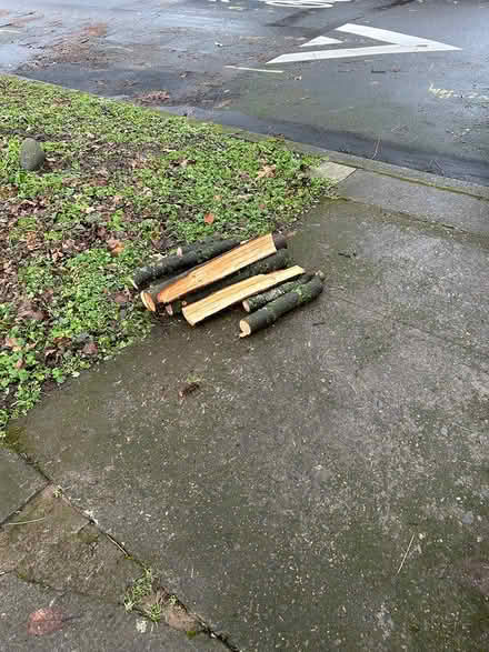 Photo of free Next year’s firewood (NE Portland, Concordia) #1