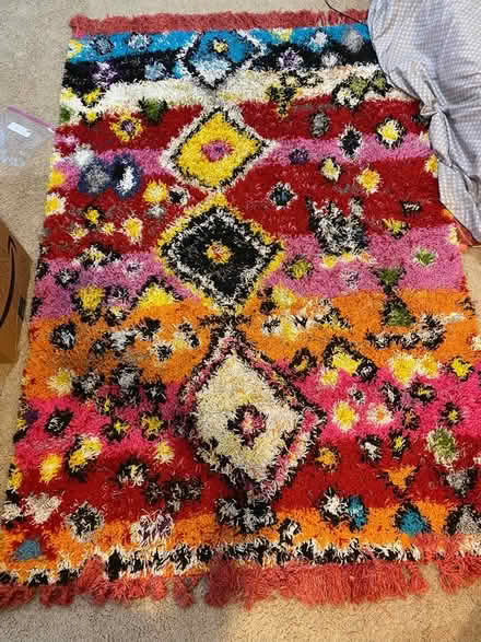Photo of free Multicolor shag rug (North Decatur) #1