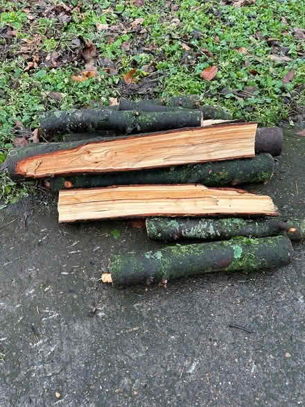 Photo of free Next year’s firewood (NE Portland, Concordia) #2
